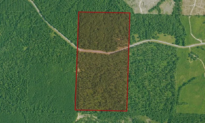 Poison Springs State Park