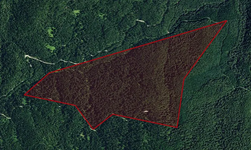 Hobo Cedar Grove Botanical Area