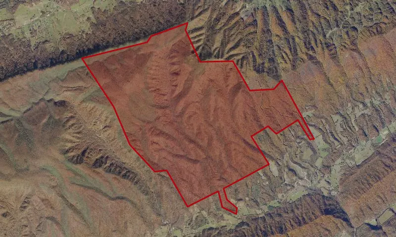 The Channels State Forest