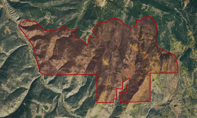 Gold Run Roadless Area