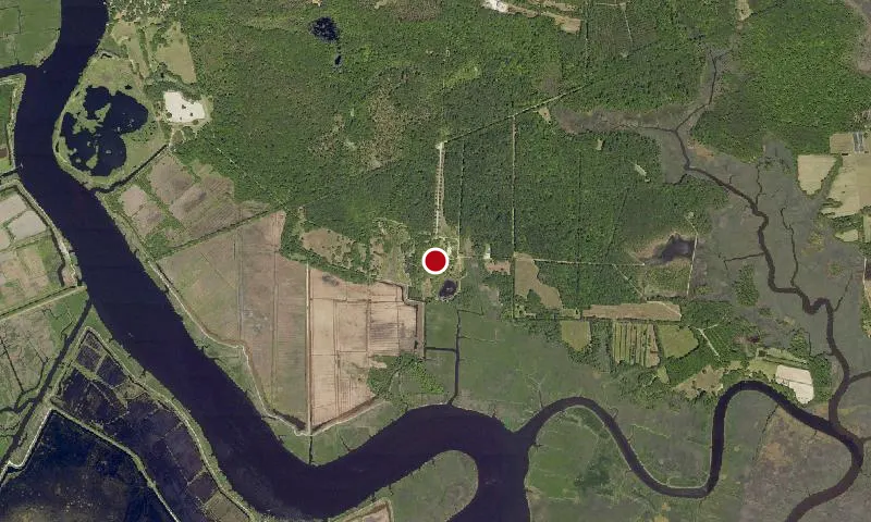 Ernest F. Hollings Ace Basin National Wildlife Refuge