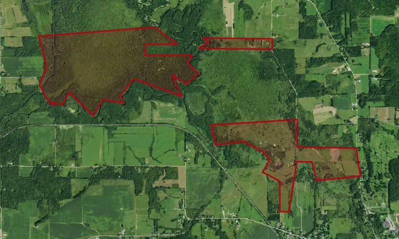 Conewango Swamp Wma