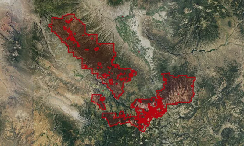 Uncompahgre National Forest