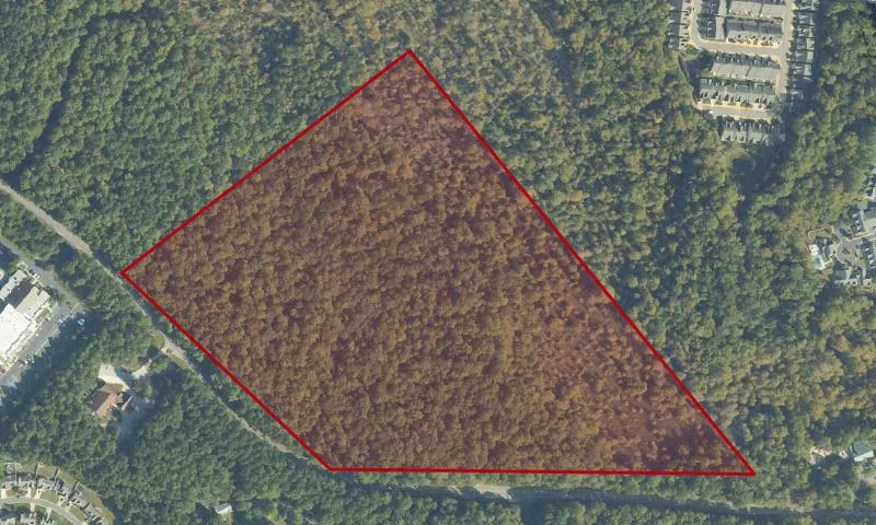 Luna and Zamora Property