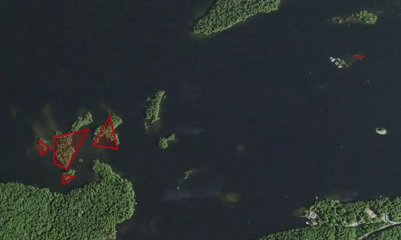 Sargent Ponds Wild Forest