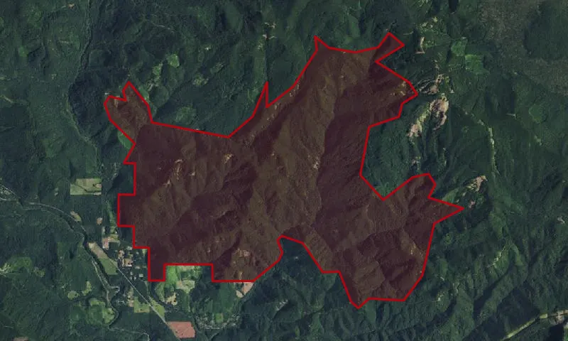 Bear Creek Roadless Area