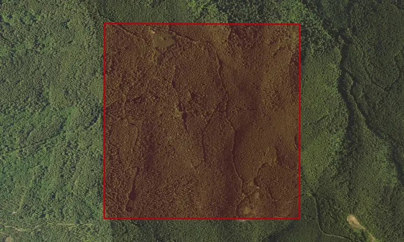 Hebo Pruining Plots 23-25 Experimental Research Area