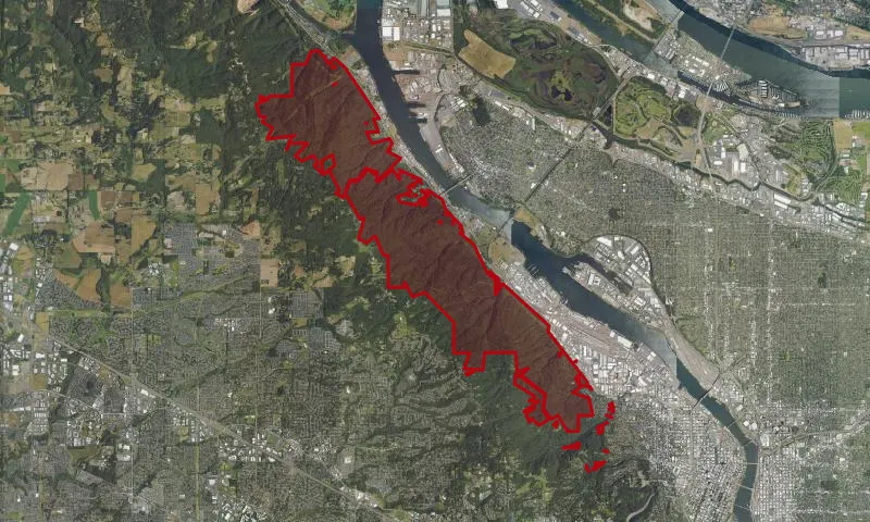 Forest Park