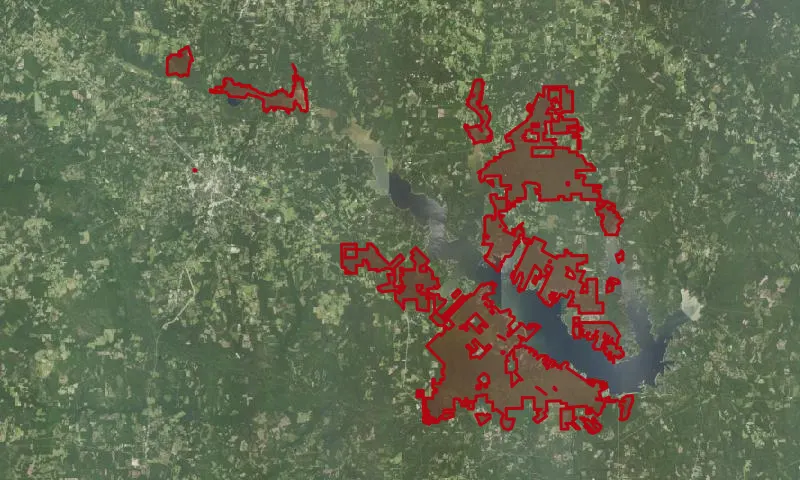 Angelina National Forest