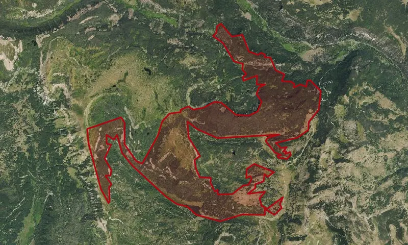 Cumbres Roadless Area