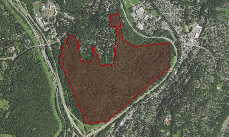 Graham Hills County Park