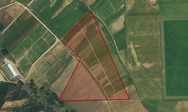 Shippee Open Space