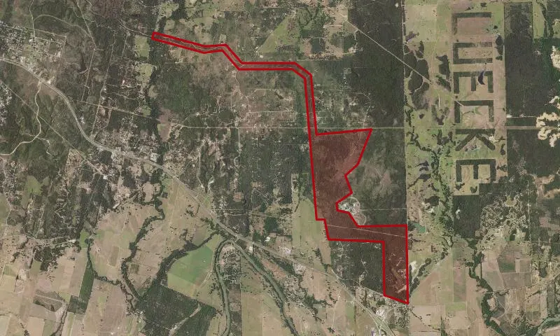 Buescher State Park