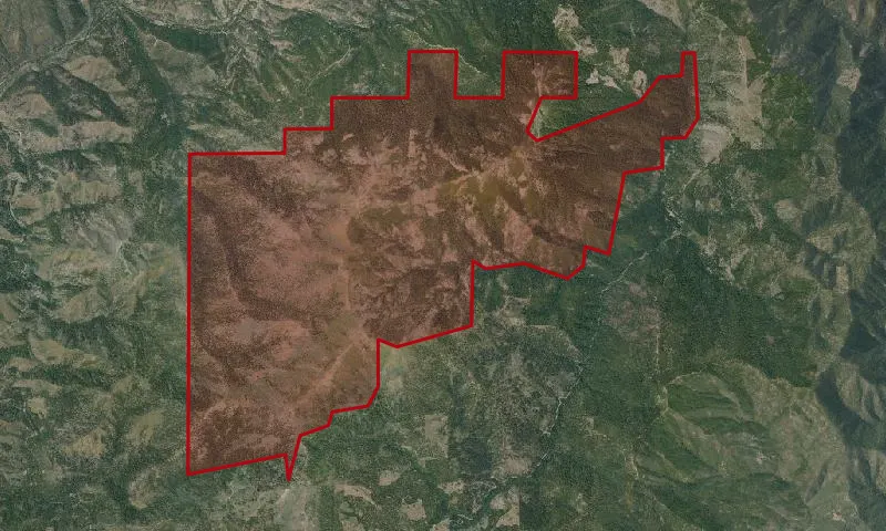 Chanchelulla Wilderness