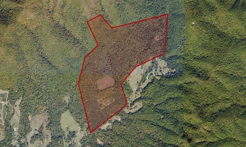 Lesesne State Forest