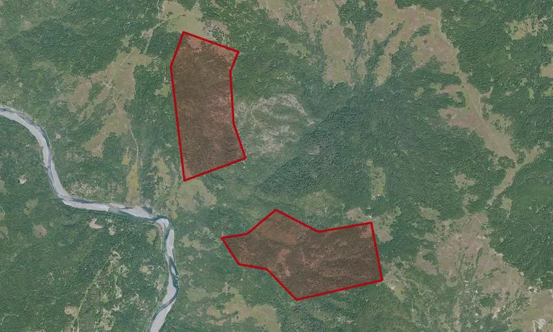 Colman Creek Trib