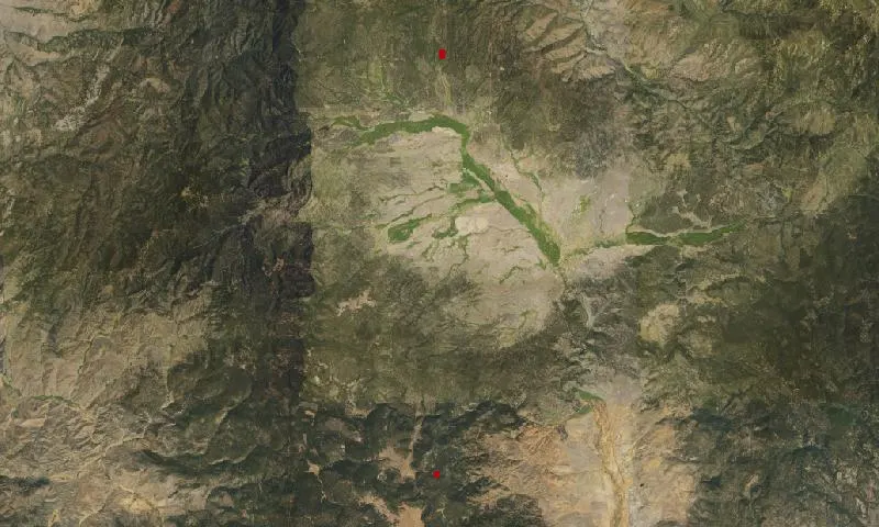 Bark Beetle Hazard Plots, Camp Creek Experimental Research Area