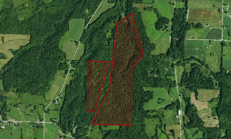 Randolph, Town Land