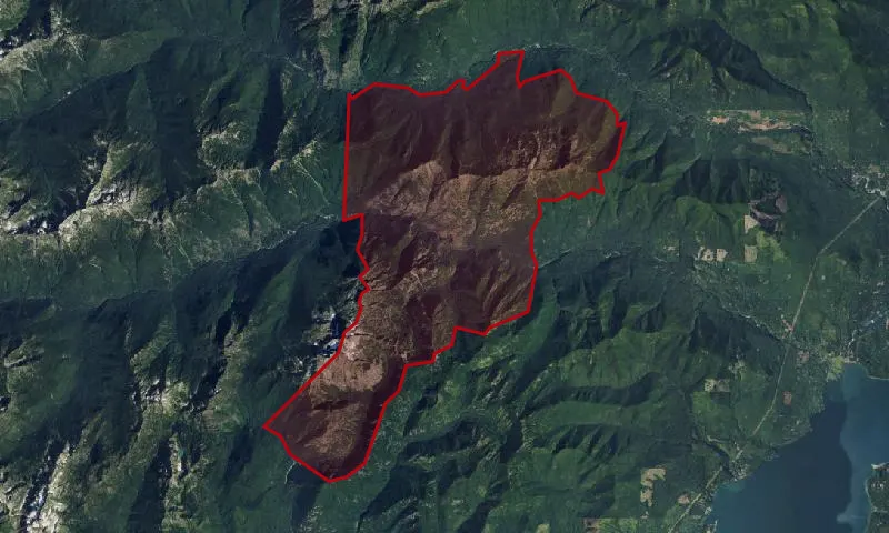 The Brothers Wilderness