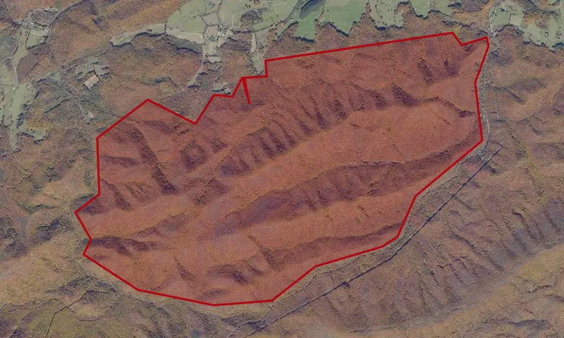Raccoon Branch Wilderness