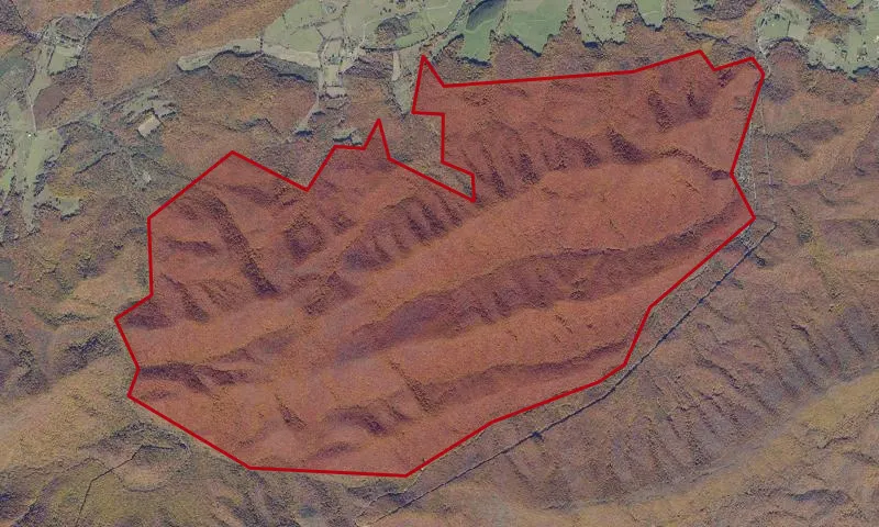 Raccoon Branch Roadless Area