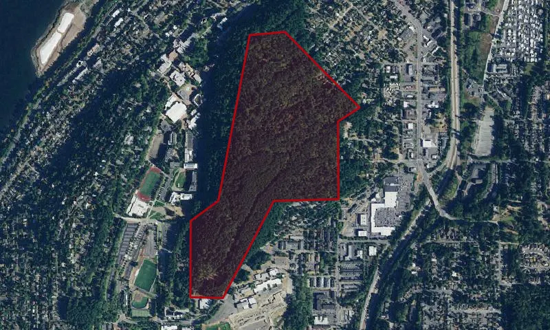 Sehome Hill Park