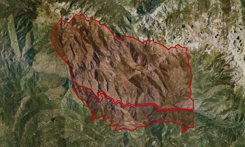Monarch Wilderness