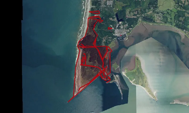 Cape Disappointment