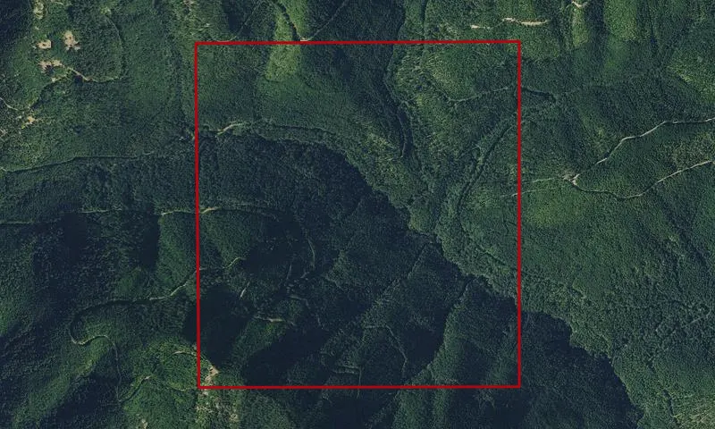 Pacific Northwest Experimental Station Plots Experimental Research Area