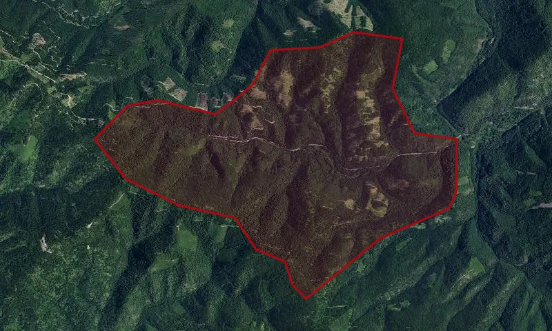 Deception Creek Experimental Forest