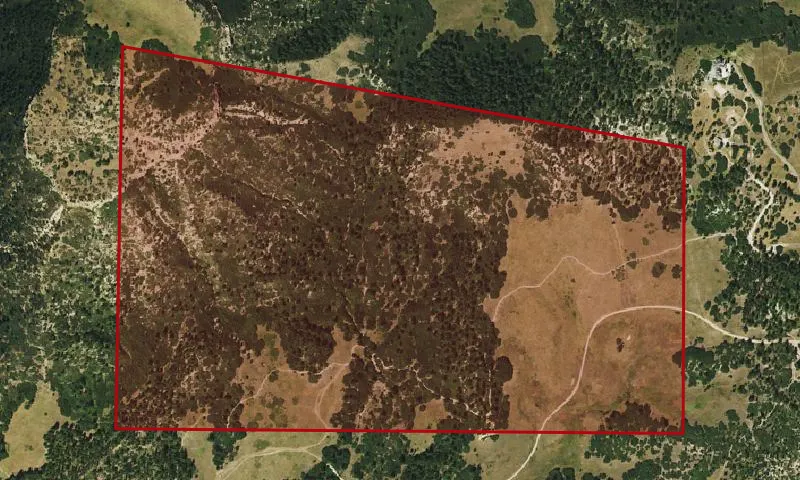 Dawson Butte - Phase III