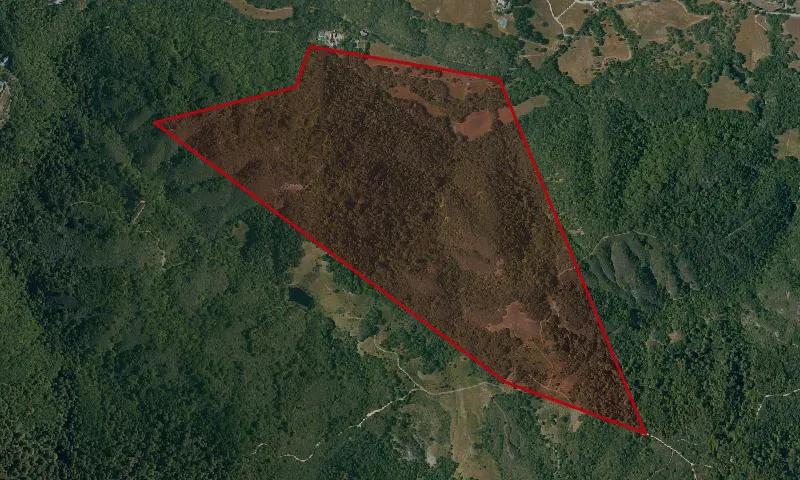 Triple Buck Ranch