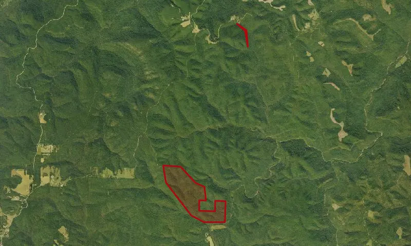 Richland Creek Roadless Area
