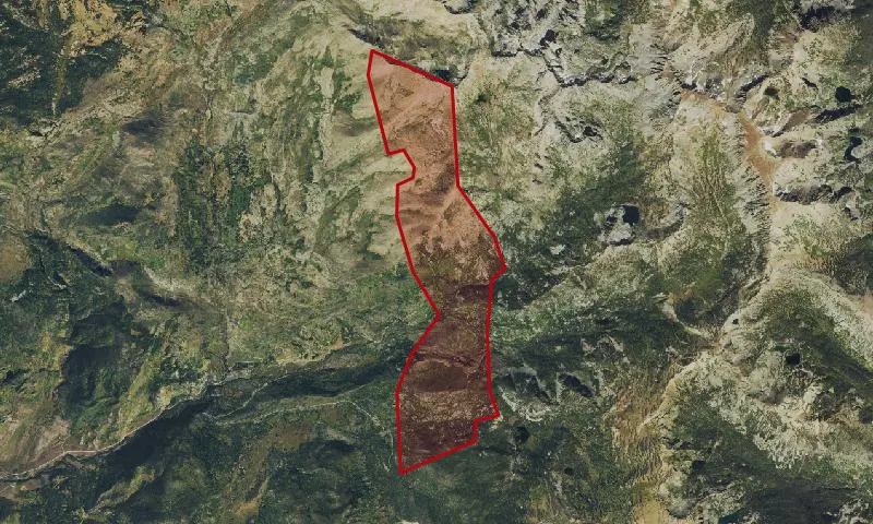 Gold Creek Roadless Area