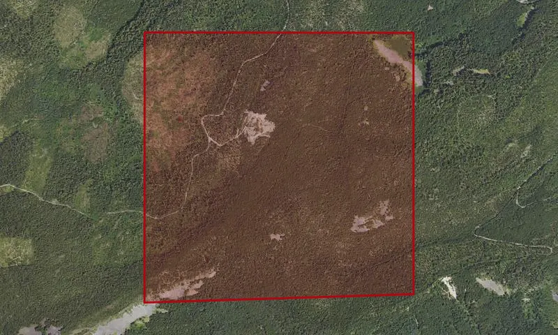 Red Hill Snow Pillow Experimental Research Area