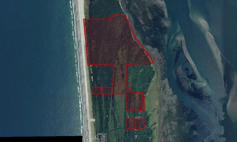 Leadbetter Point