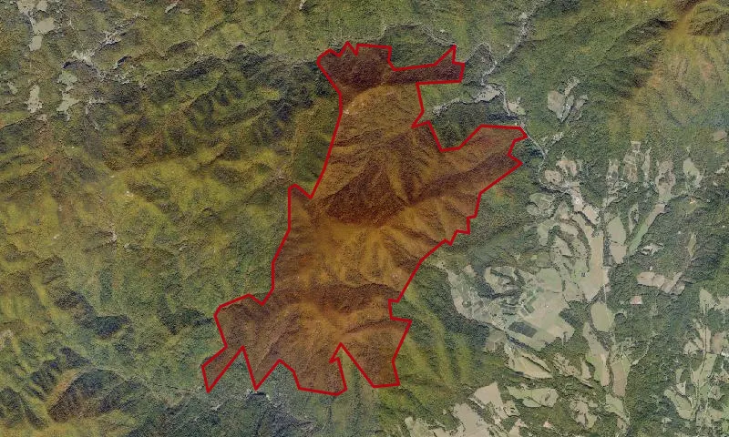 The Priest Roadless Area