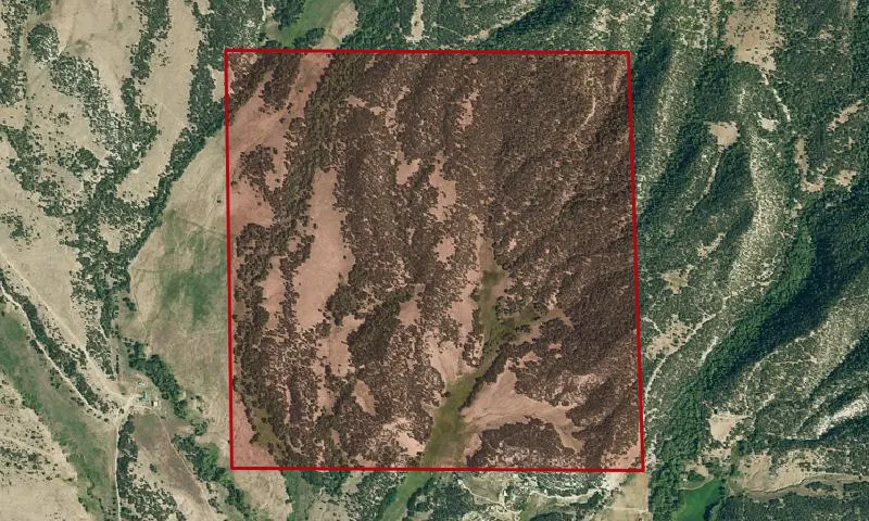 Custer Creek Riparian Area