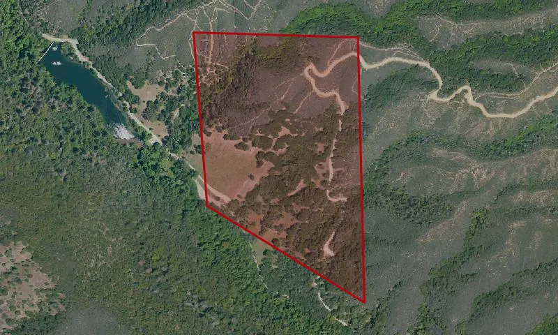 Mill Creek