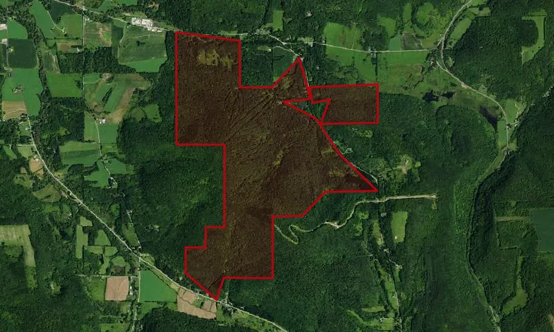 Poverty Hill Wma