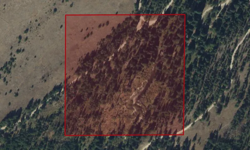 Paddy Flat Recreation Area