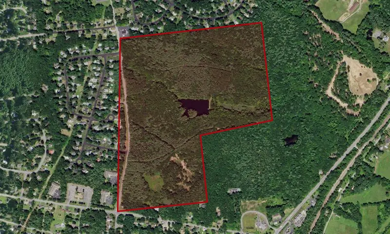Woods Hollow Nature Preserve
