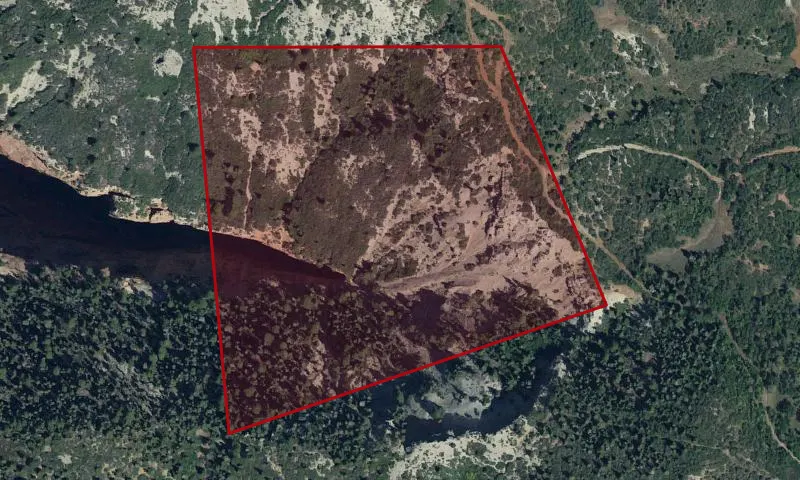 Taylor Creek Wilderness Area