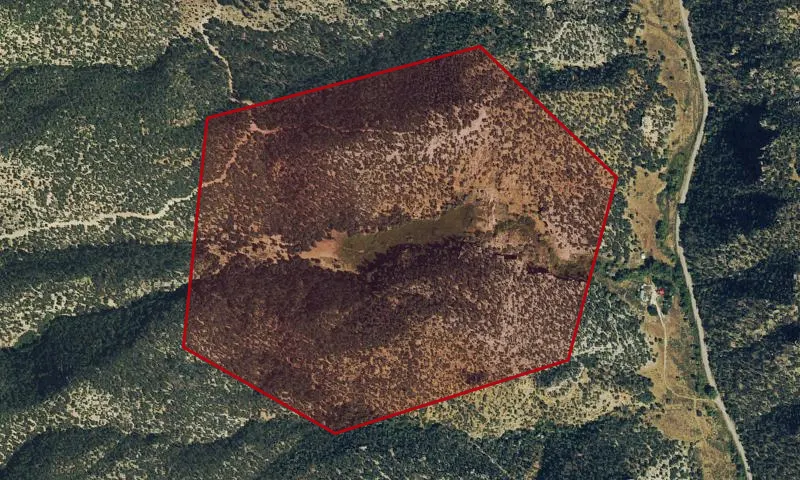 Falls Gulch
