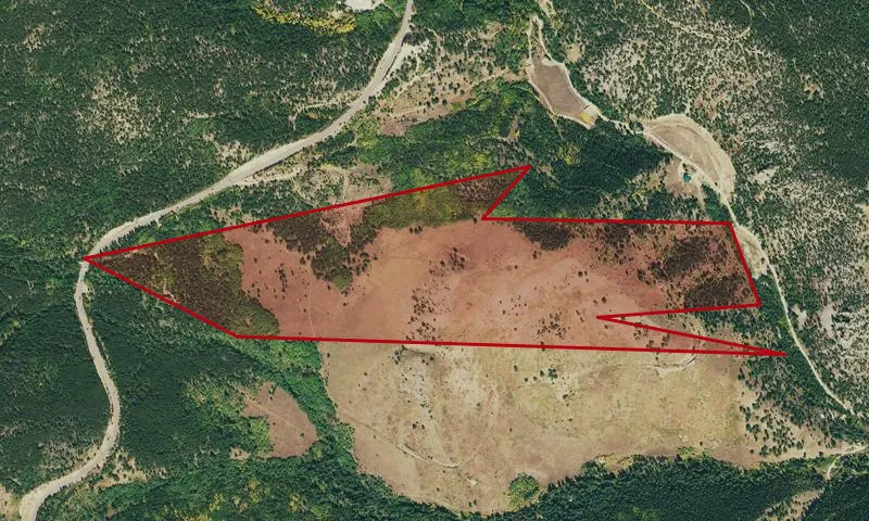 BLM/Grassy Top