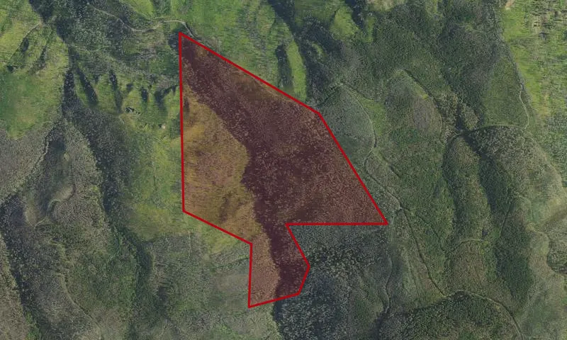 Cultus Creek Protection Area (National)