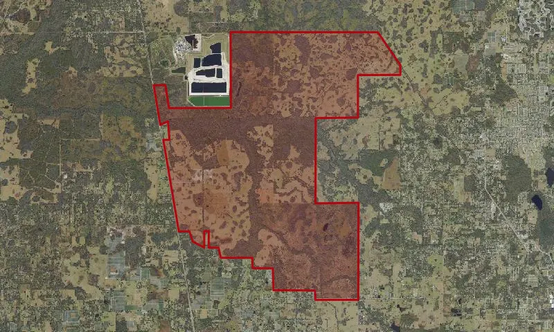 Cone Ranch