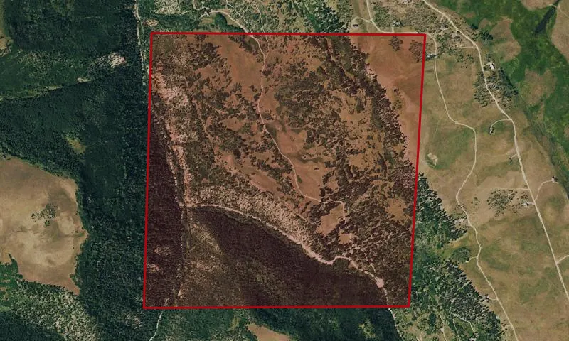 Wilson Mesa