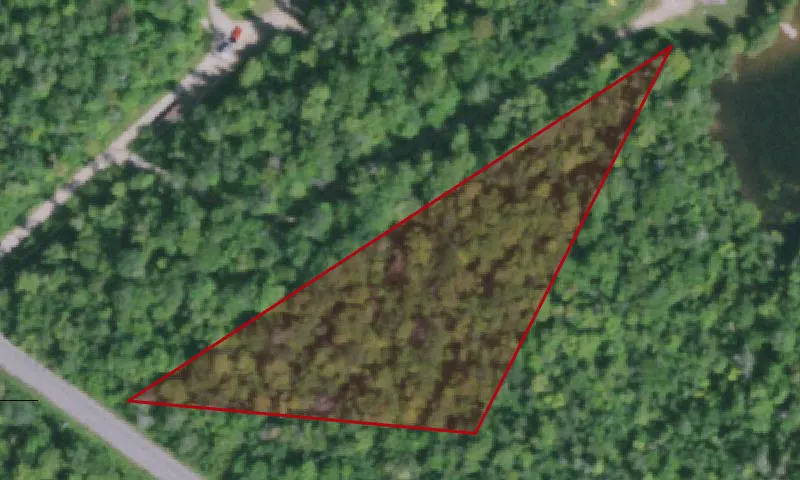 Chazy Highlands Wild Forest