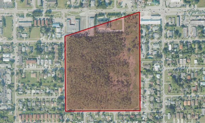 Florida City Pineland